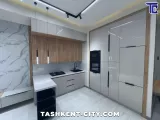 two-room apartment in the city center
